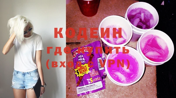 стаф Балахна