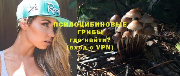 стаф Балахна
